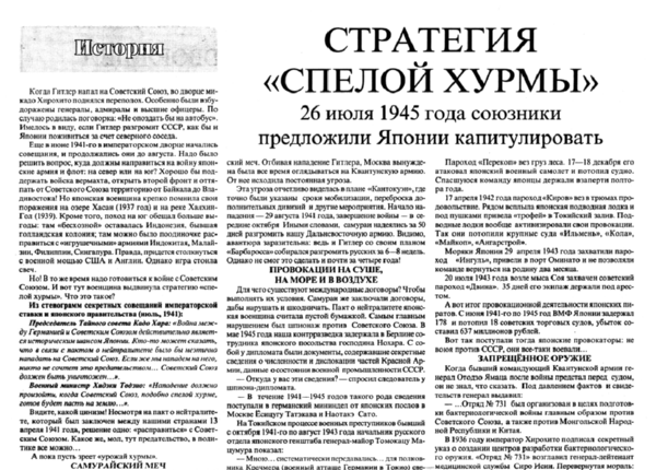 Макаров В. Стратегия «спелой хурмы» // Новгор. ведомости. – 2005. – 23 июля.