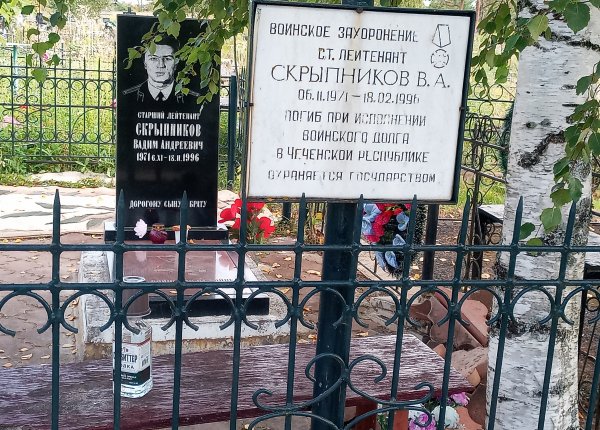 Новгородская обл., г. Чудово, городское кладбище Лука-2.