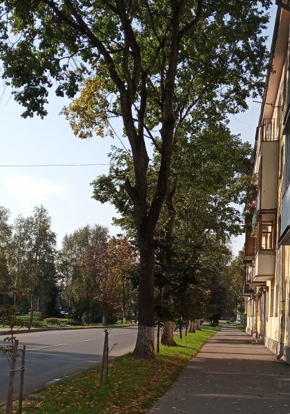 Улица Каберова-Власьевская